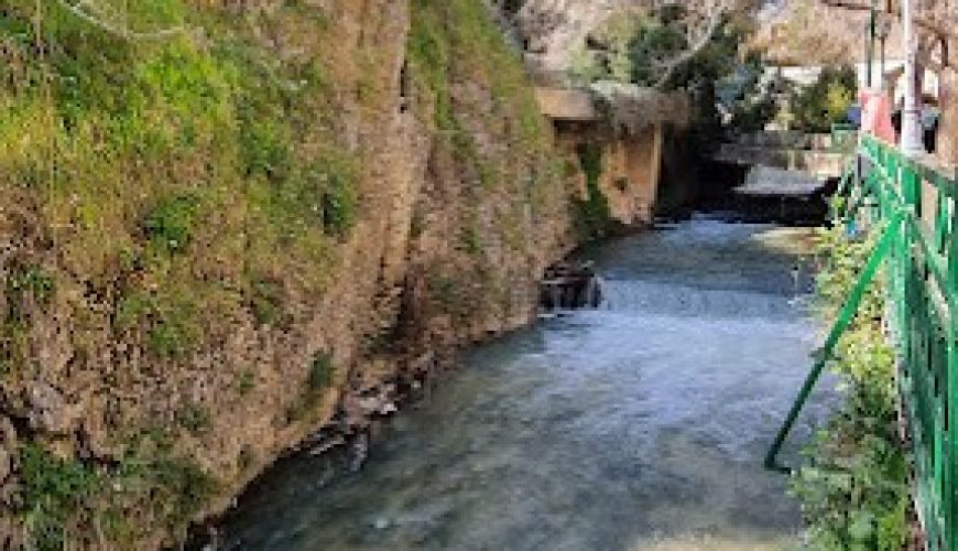 مطعم البردوني