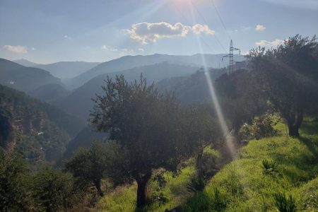 View from Kousba road