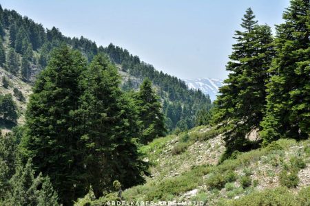 Al Boum Trail – Akkar