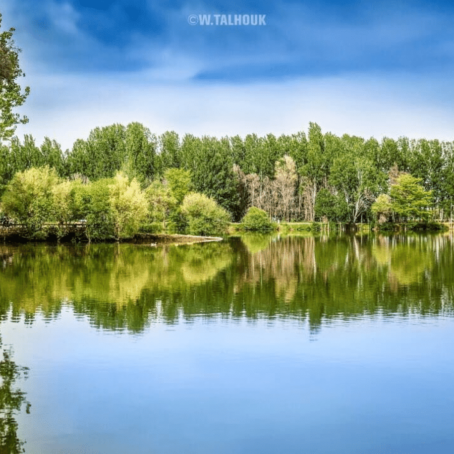 Deir Taanayel Reserve