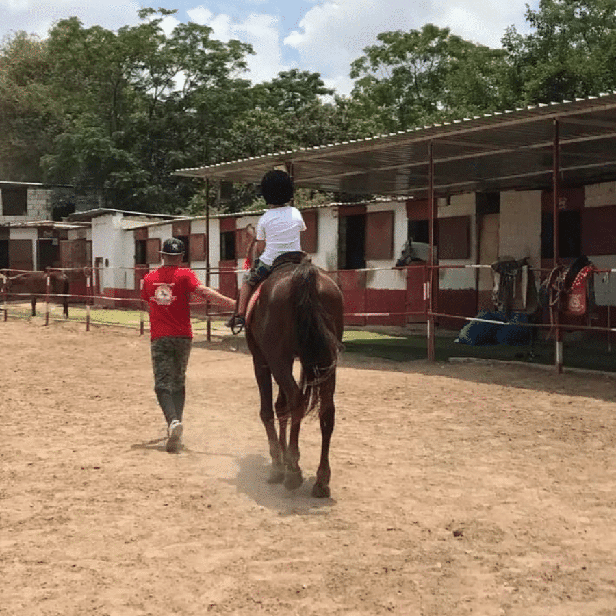 Cavallo Horse Club