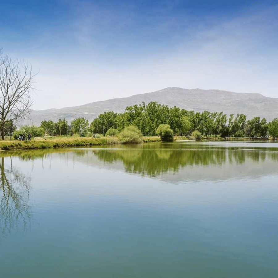 Deir Taanayel Reserve