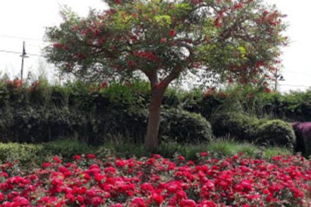 Jbeil public park