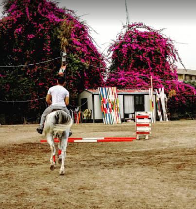 Cavallo Horse Club