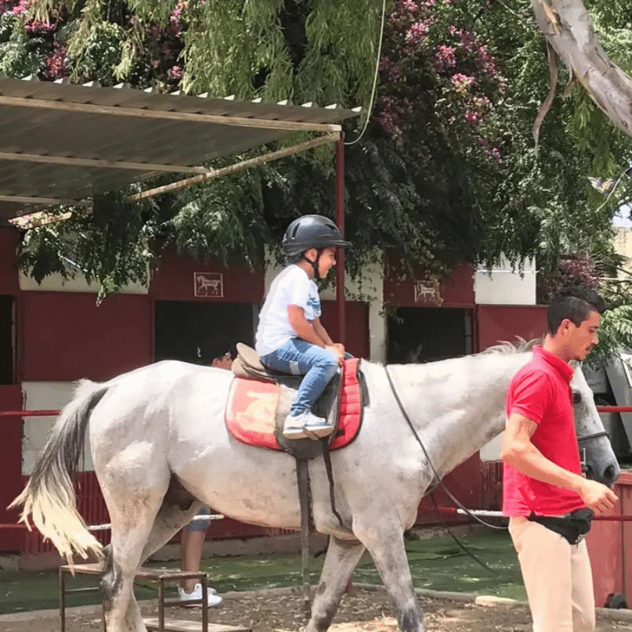 Cavallo Horse Club