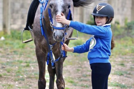 Topline Equesterian