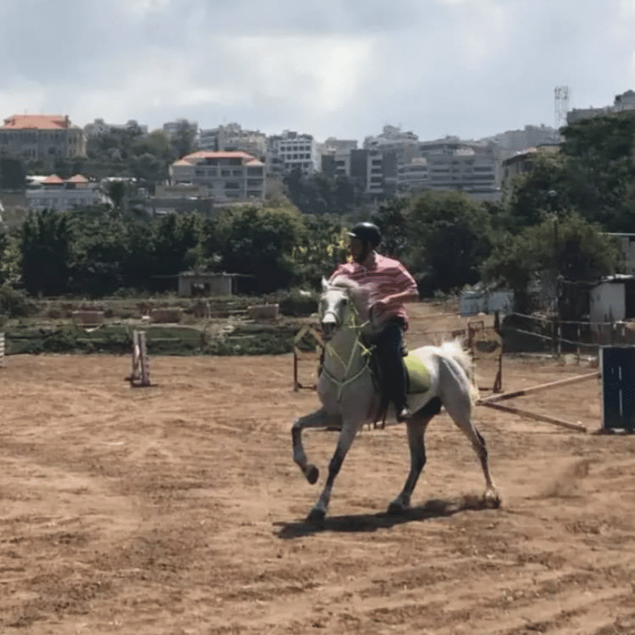 Cavallo Horse Club