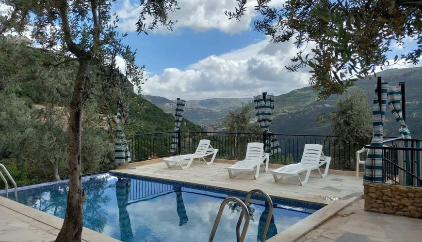 Chalet with Pool – Baisour, Aley