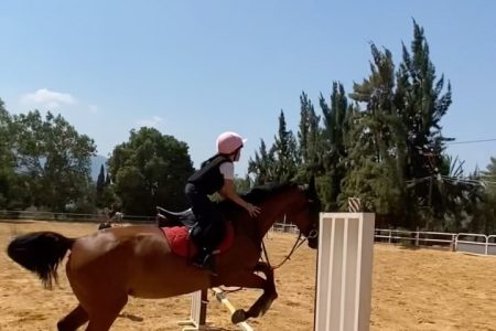 Reef Horse Club