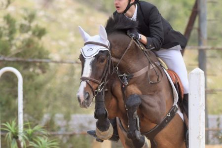 Mechref Equestrian Club
